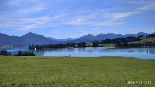 a large body of water with a green field and mountains at komf.Ferienwohnung Elisabeth (1.Stock) in Weilheim, m.Garten, zwischen München u. Garmisch-P. in Weilheim in Oberbayern