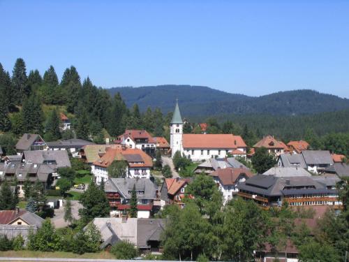 a town with a church in the middle of a town at Mellex FeWo in Feldberg