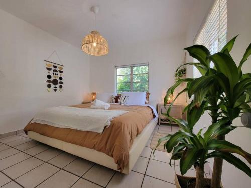 een slaapkamer met een bed en een potplant bij LITTLE HAVANA/CALLE OCHO 3 - BEST APARTMENT in Miami