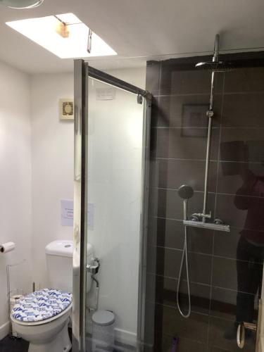 un bagno con doccia, WC e porta a vetri di Lac Cimes a Pagéas