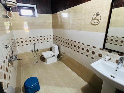 a bathroom with a toilet and a sink and a mirror at Lansdowne Hill View Cottages, Shantiraj in Lansdowne