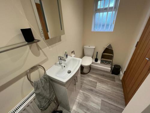 a bathroom with a sink and a toilet at The Stag 