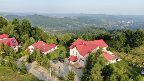 uma vista aérea de uma casa com um telhado vermelho em Pensiune Runcu Stone em Runcu