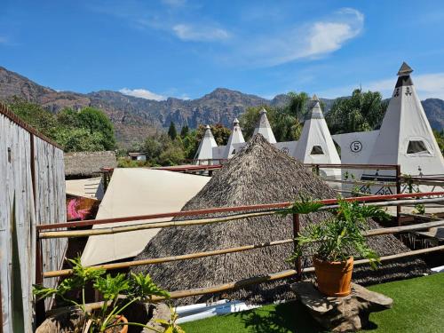 a group of teepees with plants in front of them at Fungi Tipis in Tepoztlán