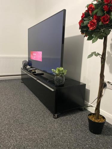 uma TV sentada em um centro de entretenimento preto com uma planta em The Botley Road House em Oxford