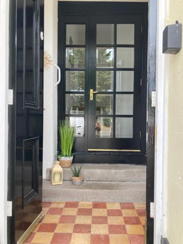 a black door with a potted plant in front of it at Buttercup Cottage in Dundrum