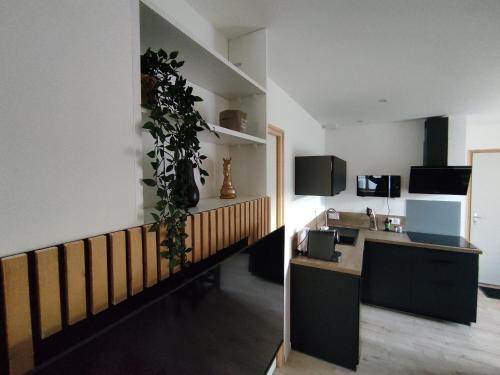 a room with a kitchen with a plant on the wall at Résidence Manivi in Beaupréau