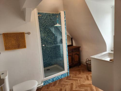 une salle de bain avec une douche en verre et des toilettes dans l'établissement Mont Naïa, à Pontorson