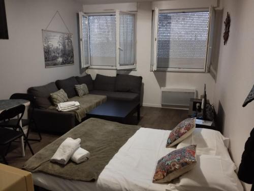 un salon avec un lit et un canapé dans l'établissement Mon Paisible Rez de chaussé Metz Wifi Parking Un-Séjour-à-Part, à Metz