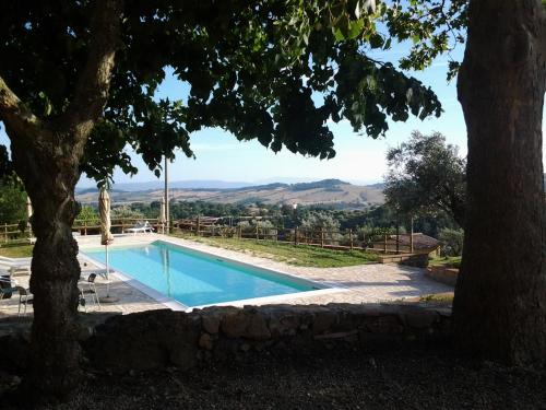 a swimming pool with a tree and mountains in the background at Borgo De Salaioli in Scansano