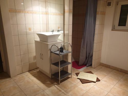 a bathroom with a sink and a shower at Appartement proche d'Europa park/Marchés de Noël in Rhinau