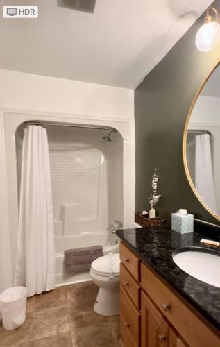 a bathroom with a toilet and a sink and a mirror at A Cozy Retreat in Gainesville