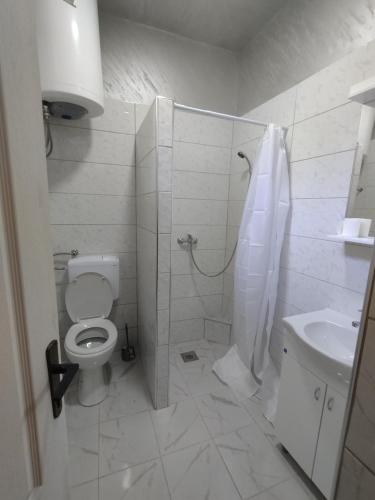 a bathroom with a shower and a toilet and a sink at T.I.M. in Bela Crkva