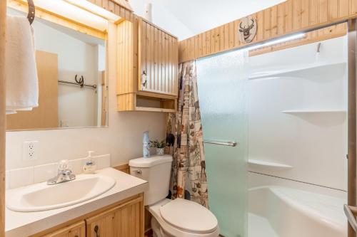 a bathroom with a toilet and a sink and a shower at The Lake House in Polson