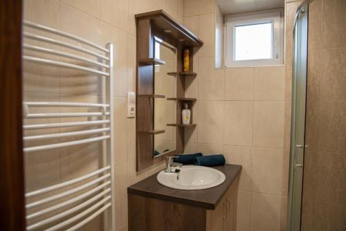 a bathroom with a sink and a mirror and a shower at Benige vendégház in Demjén