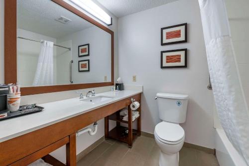 a bathroom with a toilet and a large mirror at Comfort Inn Plainfield - Indianapolis Airport in Plainfield