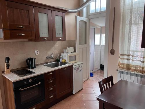 uma cozinha com um lavatório e um micro-ondas em Albert Guest House em Ruse