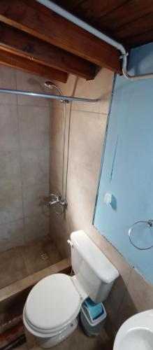 La salle de bains est pourvue d'une douche et de toilettes blanches. dans l'établissement Choique, à San Carlos de Bariloche