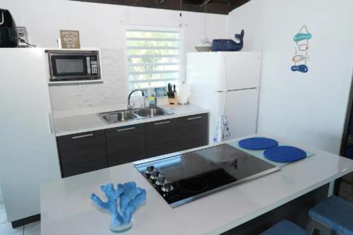 Cucina o angolo cottura di Villa Vacacional frente al mar en Puerto Rico