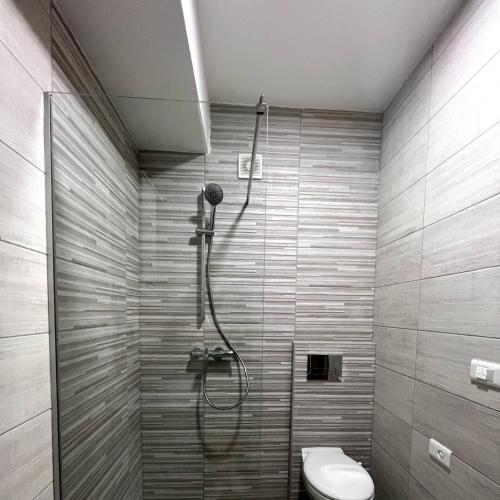a bathroom with a shower with a toilet in it at Darki Apartments 2 - Very Central Stay With Free Parking in Ohrid