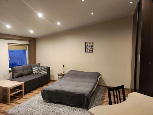 een woonkamer met een bed en een bank bij City centre studio in Poznań