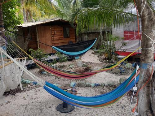 un par de hamacas delante de una choza en Sustainable Cabain en Cozumel
