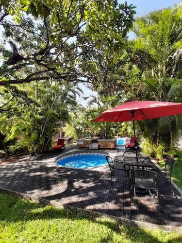 Kolam renang di atau dekat dengan Hotel Palmareca