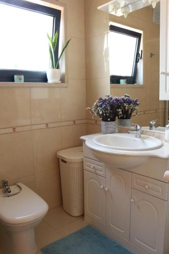 a bathroom with a sink and a toilet and a mirror at Vila de Campos - Gerês in Vieira do Minho