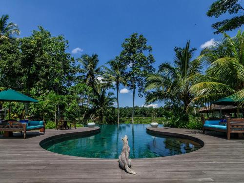 Kolam renang di atau dekat dengan Permata Ayung Private Estate