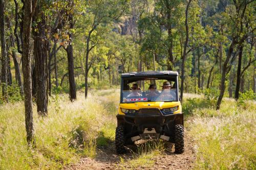 a group of people riding in a jeep in the woods at Spicers Hidden Vale in Grandchester