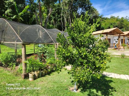 um jardim com um gazebo e algumas plantas em POUSADA SERTÃO DA BOCAINA em Cunha