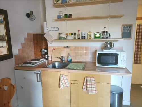 Studio Enchastrayes, 1 pièce, 3 personnes - FR-1-165A-171