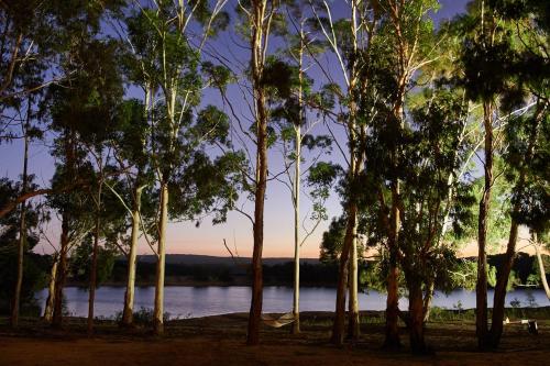 a group of trees in front of a body of water at Olio Bello Lakeside Glamping in Cowaramup
