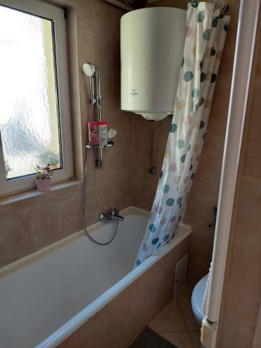 a bathroom with a tub and a shower curtain at Dizike Pet-friendly Guesthouse in Budapest