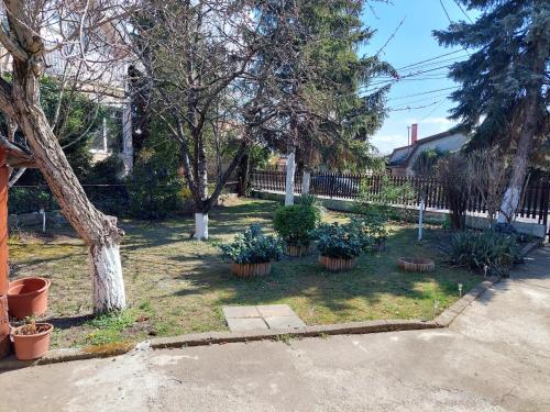 a yard with potted plants and a fence at Dizike Pet-friendly Guesthouse in Budapest