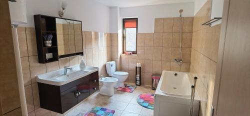 łazienka z umywalką i toaletą w obiekcie FOREST 12 w mieście Nehoiu