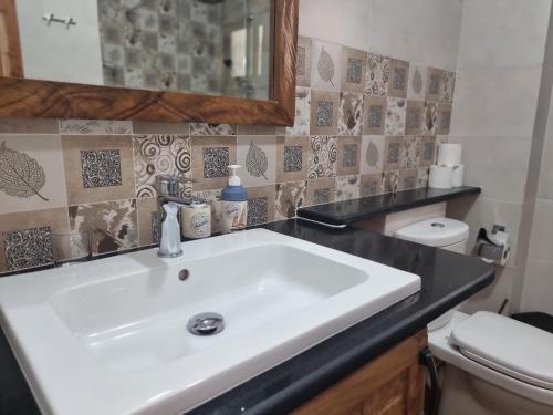 a bathroom with a white sink and a toilet at Drake Seaside Studio Apartments in Bel Ombre