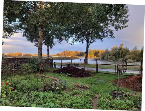 a garden with a fence and trees and a body of water at BIESBOSCHBEST in Werkendam