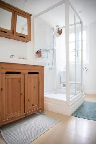 a bathroom with a shower and a sink and a tub at La Mélanotte in Toulouse
