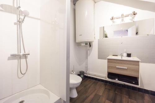 La salle de bains est pourvue de toilettes, d'un lavabo et d'une douche. dans l'établissement Appartement dans le vieux Châteauroux, à Châteauroux