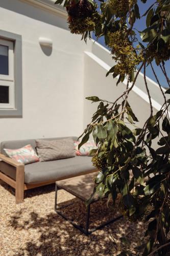 a couch in a living room with a plant at The Bean Tree in McGregor
