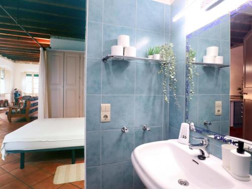 een badkamer met een wastafel, een spiegel en een bed bij Loft Algavira in Sant Feliu de Guixols