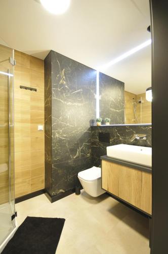 La salle de bains est pourvue d'un lavabo, de toilettes et d'une douche. dans l'établissement Apartament Flaming Hanza Tower, à Szczecin