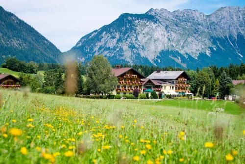 a field of flowers in front of a mountain at Landhotel Häuserl im Wald in Gröbming