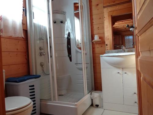 a bathroom with a shower and a toilet and a sink at Appartement "HERISSON" indépendant à Lélex, Monts Jura in Lélex