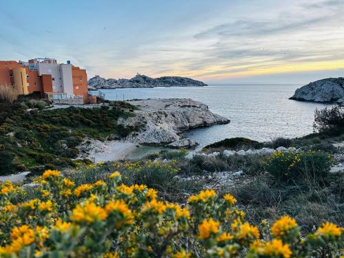 a view of the ocean with buildings and flowers at la daurade du frioul , île du Frioul, marseille in Marseille