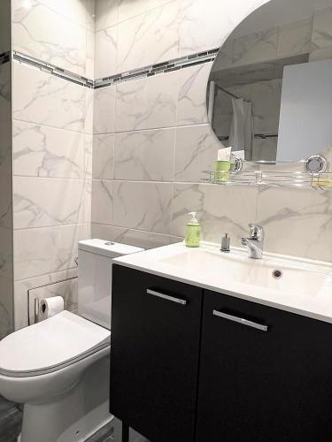 une salle de bain avec un lavabo, des toilettes et un miroir dans l'établissement Mango balcon 5 min de la vieille ville, à Annecy