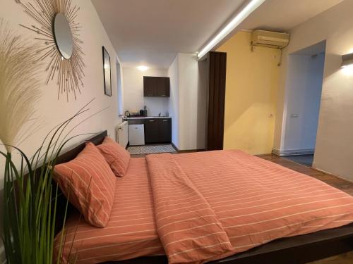 ein Schlafzimmer mit einem Bett und einem Spiegel an der Wand in der Unterkunft Savoya5 Old CityCenter Selfcheckin WorkspaceStudio in Timişoara