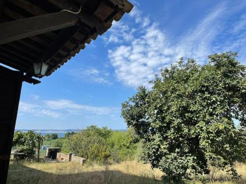Flat - Casale Angela – Photos 4
