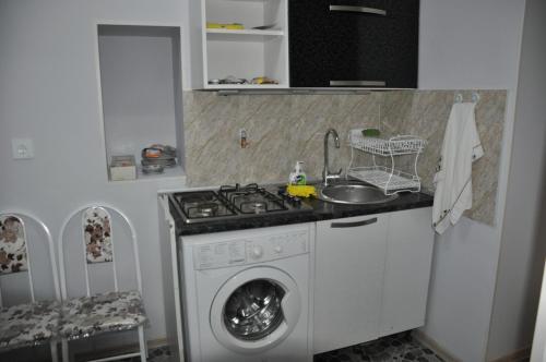 a kitchen with a washing machine and a sink at Lion House - Львиный дом - Baku old town in Baku